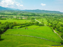 FILM! Teren ideal casa de vacanta, in fascinant cadru natura