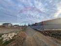 Teren extravilan Campineanca / Strada Toamnei