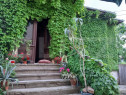 Casa boiereasca, 150 mp utili si 361 mp teren, 19.6 ml desch