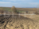 Teren intravilan, 2600 mp, Bosanci