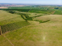 Teren arabil de 349 hectare în Buzău
