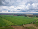 Teren arabil de 30 hectare în Constanța