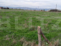 Teren intravilan,5500mp zona Sebes