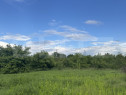 Teren intravilan, de vanzare, 800 mp, zona Simeria
