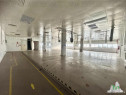 Spatiu industrial de inchiriat in Vitan