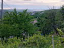 Bucium!Teren intravilan cu casa,1500mp!