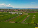 Aliniament de liniste, drum usor, 5.000 mp pamant verde, Bod