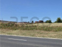 RECO Teren intravilan 900 mp Biharia