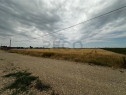 RECO Teren Extravilan(4500 MP) în Oradea