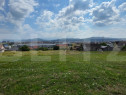Parcelă 50.000 mp &ndash; zonă Tărpiului