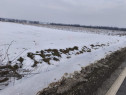 Teren 6000mp, 30 ml deschidere la DN 2H, Horodnic de Jos, Ra