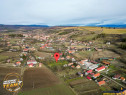 FILM! Oaza ta de liniste pe 0.5ha teren intravilan, Dalnic,
