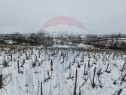 Teren intravilan 7000 mp Simnic, Izvor