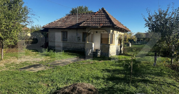 Casa plan parter si 800 mp teren, zona balesti