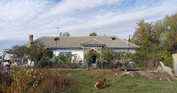 Vând casă bătrânească cu teren