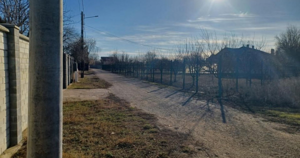 Săbăreni, teren 6200 mp, construibil, cu utilități