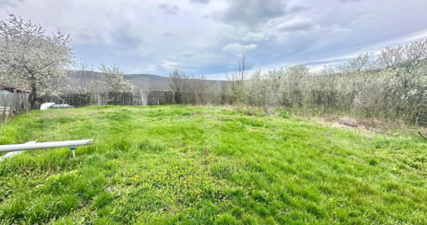 Teren intravilan de vânzare – 728 mp, oarda de sus, cu pr