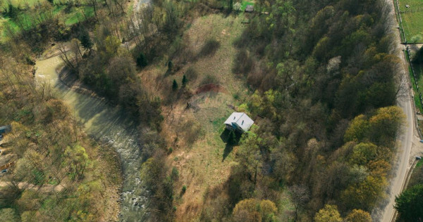 Proprietate unică în tarcău – 30.000 mp intravilan, ...