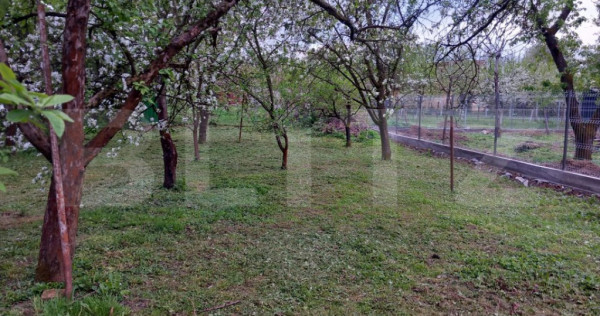 Teren, 600 mp, zona bercu rosu