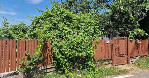 Casa traditionala, cu 2.000mp teren roditor, izvoarele, prah