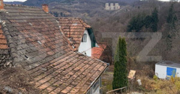 De vânzare casă veche, 108 mp+571 mp teren, drumul poieni