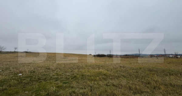 Teren intravilan in pricaz 4416 mp