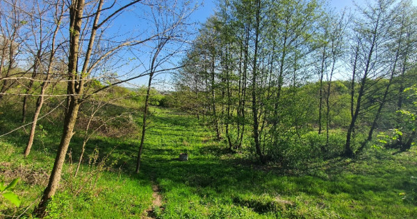 Teren 5000 mp, bighilin