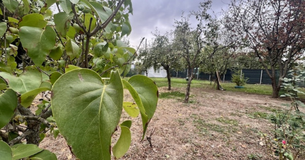 Vila de inchiriat baneasa l pozitionare excelenta