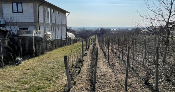 Teren intravilan blejoi prahova 1900mp