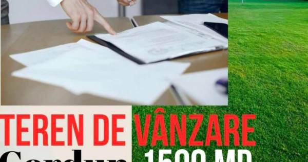 Teren intravilan cordun