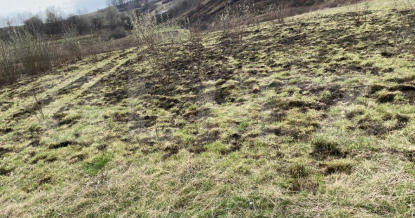 Teren intravilan de vanzare, 2200 mp, zona cartierul ortelec