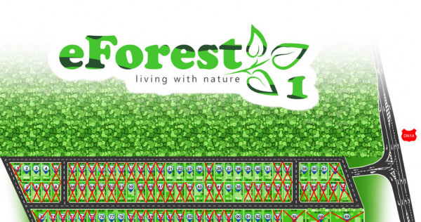 Teren 900mp premium la padure, acces direct dn1a, cartier nou eforest