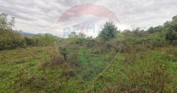 Teren intravilan de vânzare în măgureni