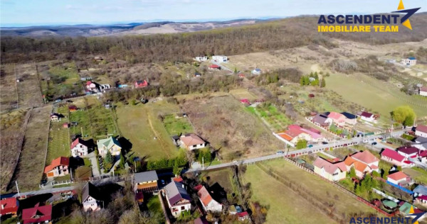 Film!2.580mp,intravilan,construibil,sursa proprie apa,valea