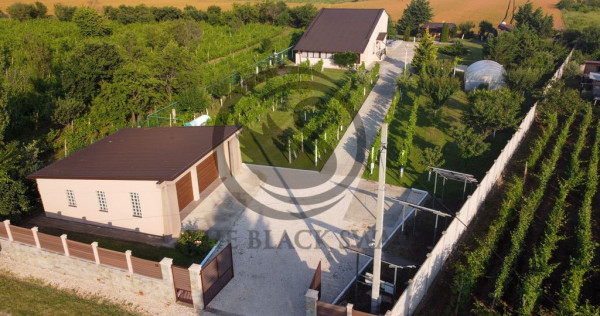 Casa cu piscina de vanzare | 3.300 mp teren | urlati - pr...