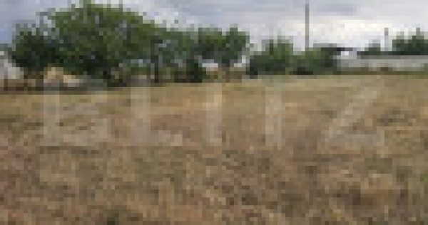 Teren intravilan 762 mp in carcea
