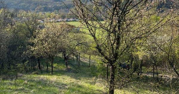 Teren intravilan 1000 mp mierea, vernesti