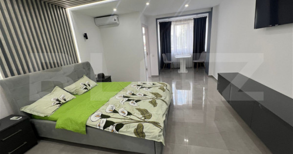 Garsoniera proaspat renovata brazda lui novac