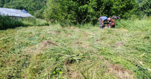 Teren intravilan 1049 mp – cobia, sat mislea – ieșire l