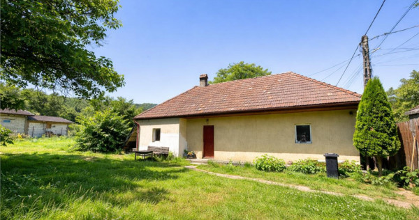 Film tur 3d! casa cu gradina, pomi fructiferi, fantana, zago