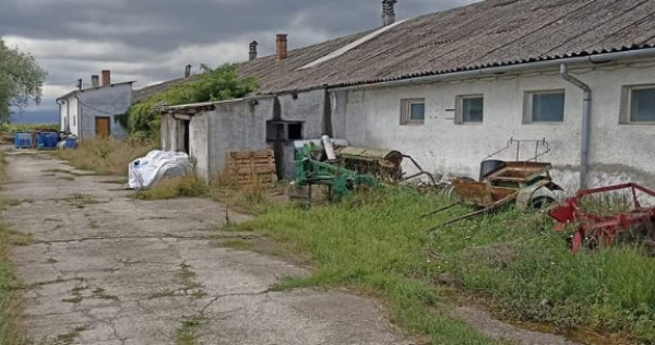 De vânzare hala industriala în ilieni