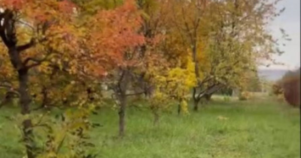 Teren la strada europeana , cu toate utilitatile parcele de