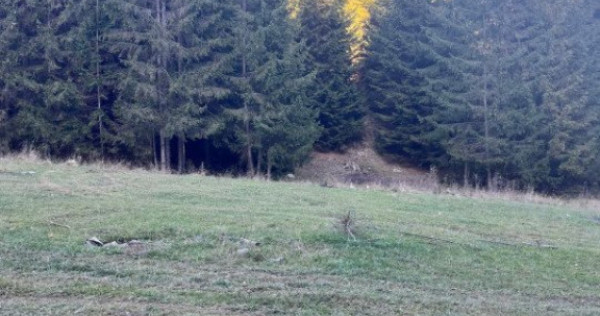 Teren extravilan,8745 mp ,manastirea humorului