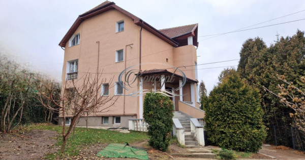 Casa pentru birouri/sediu firma in andrei muresanu