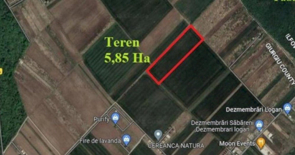 Săbăreni, teren intravilan construibil 5,85 ha, între ...