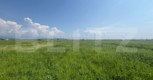 Teren extravilan, 10.000 de mp, langa centura noua din targu