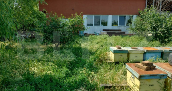 Teren 314 mp, langa dex, zona spitalului regional
