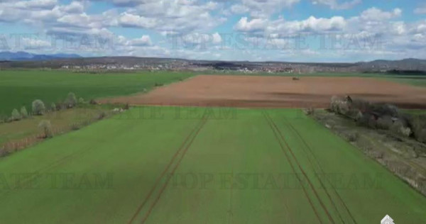 Teren intravilan 24611 mp, ideal retail, logistica, birouri