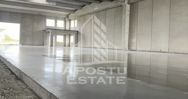 Compartiment hala logistica - 523mp