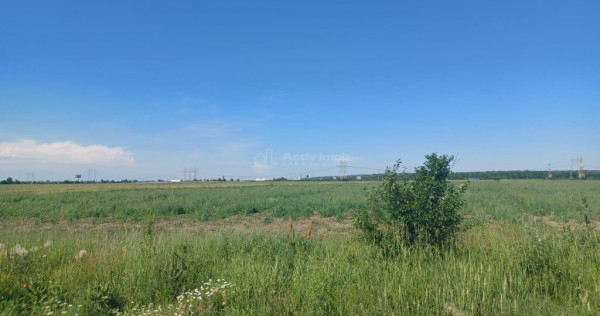 Teren ciorogarla- strada viitorului